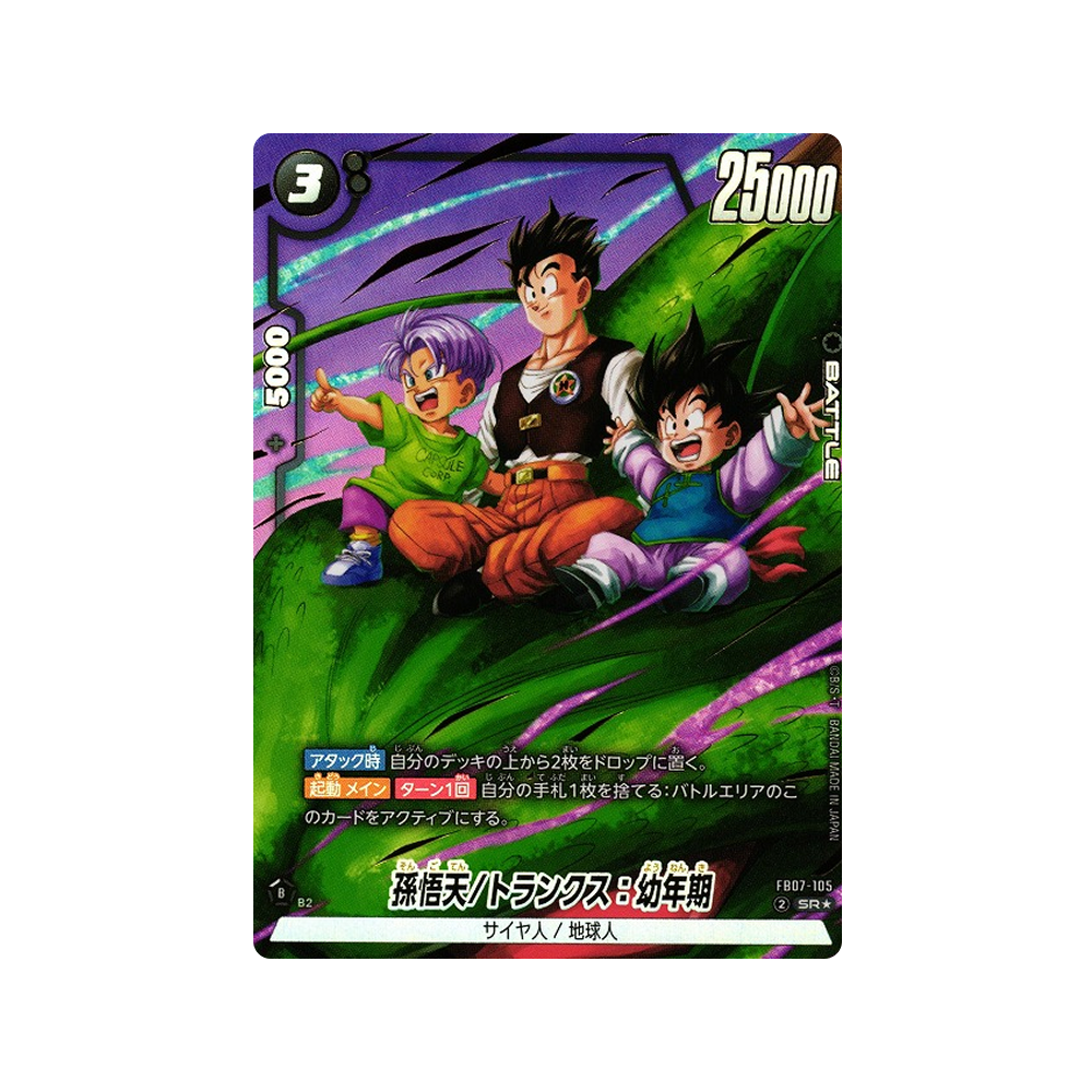 Caja FB07 Wish for Shenron - Japonés