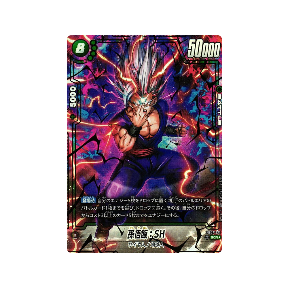 Caja FB07 Wish for Shenron - Japonés